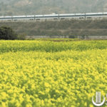 Hangshen -3