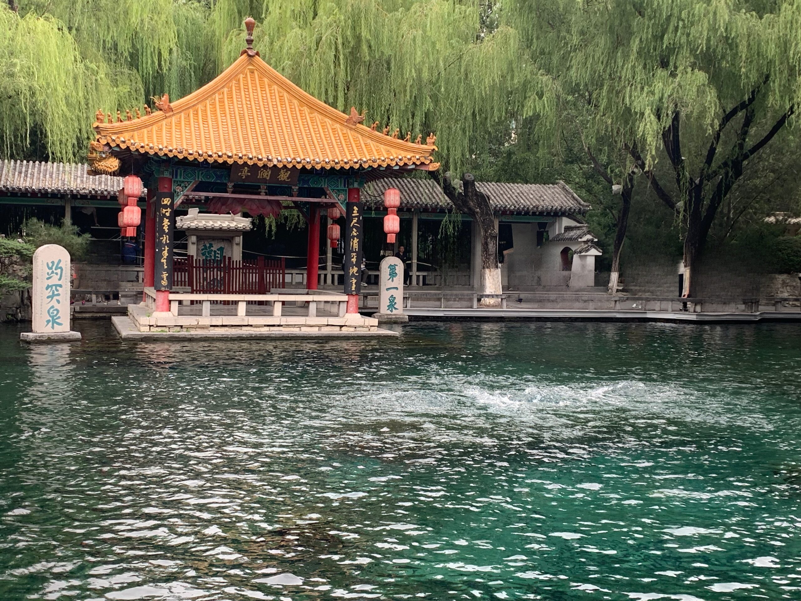 Read more about the article 《济南三声｜铁未响，字在写，泉在流》