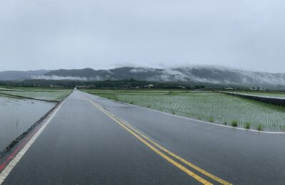 《诗与稻田的对话｜蒋勋书房与伯朗大道・台东池上》