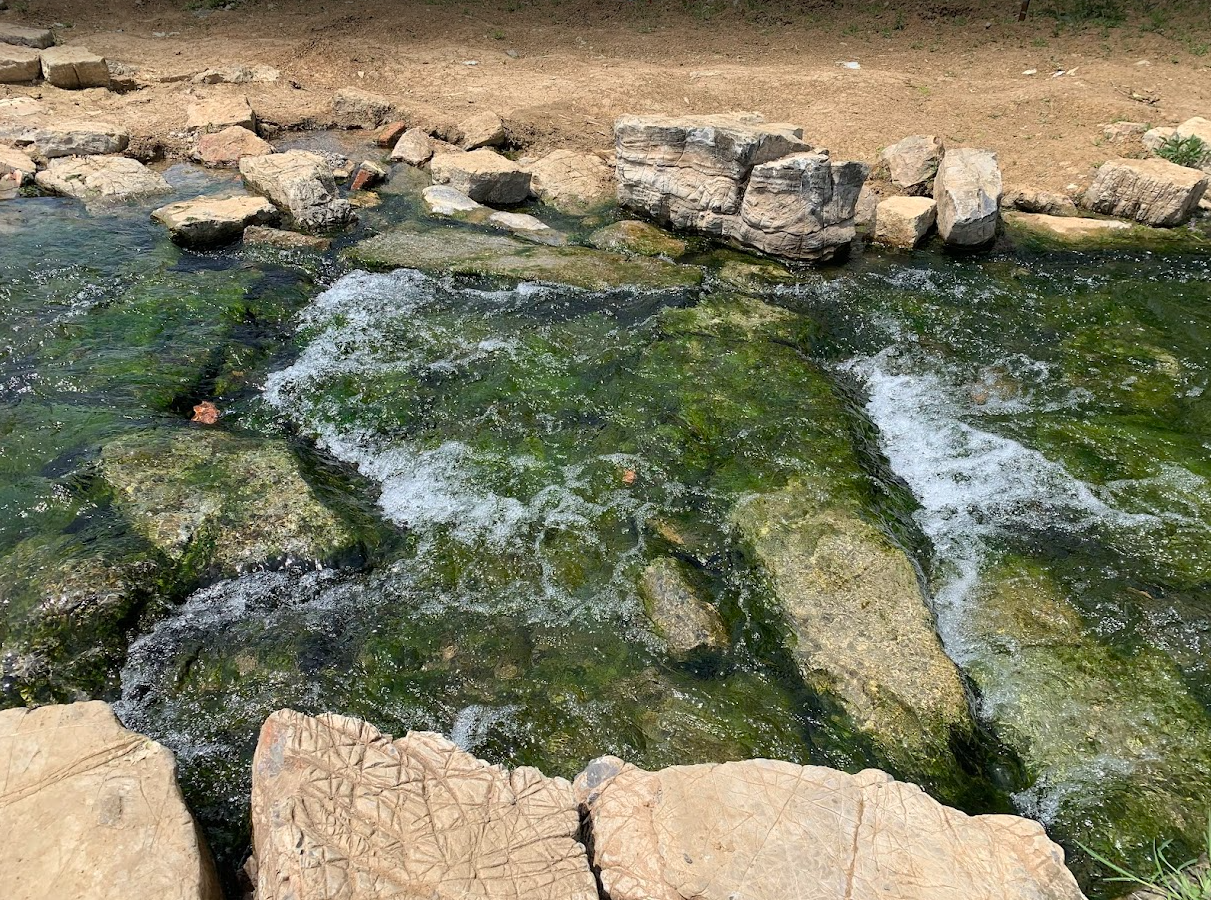 You are currently viewing 《令尹夫人迁都记：从冻结水域到流动楚地》——论后台停机后，文明如何通过迁徙继续呼吸